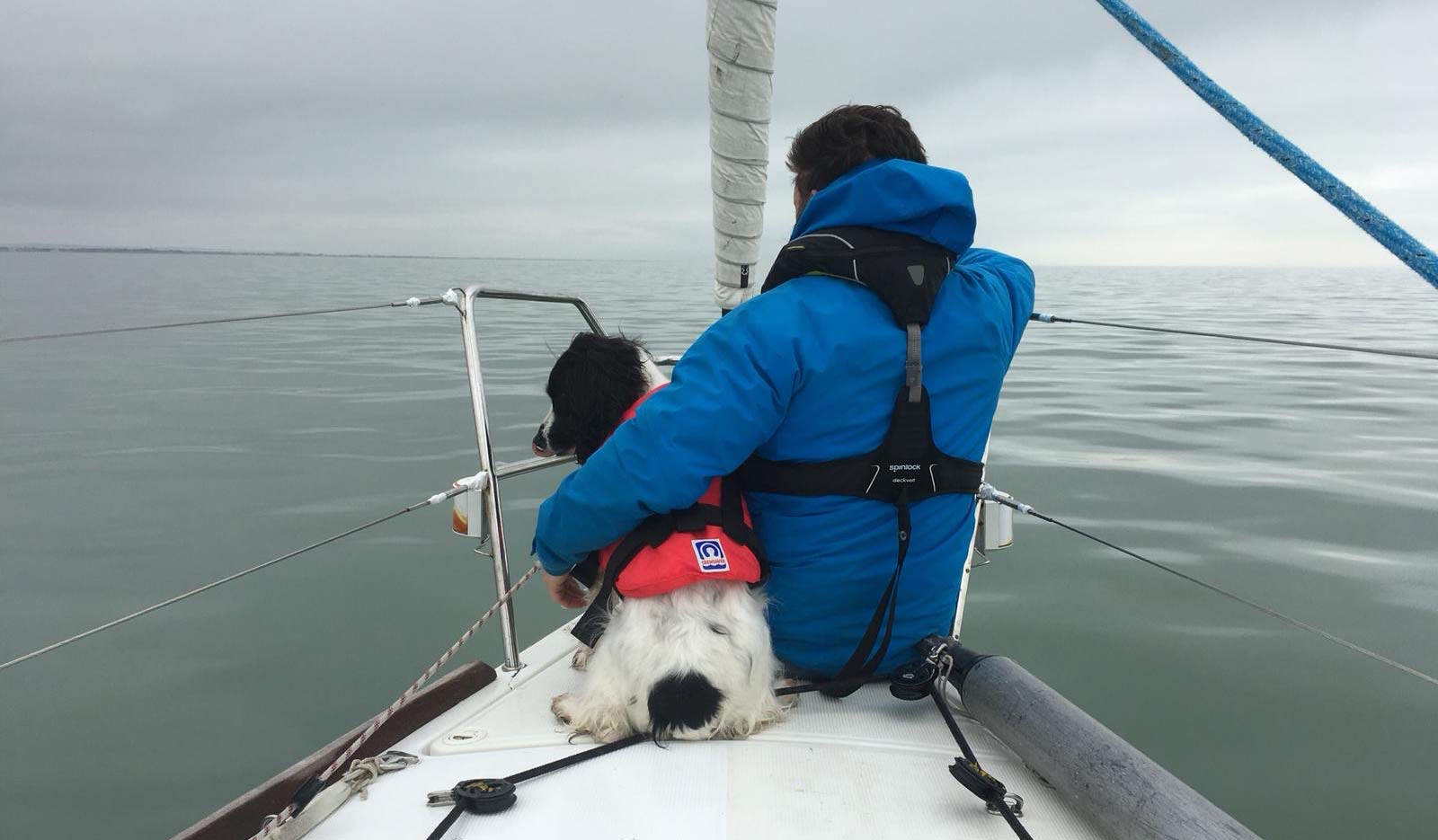 Boating with dogs, dog lifejacket and harness