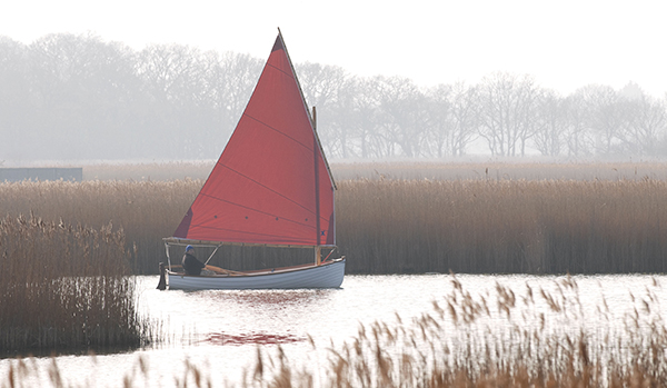 Various images for June issue of InBrief enewsletter