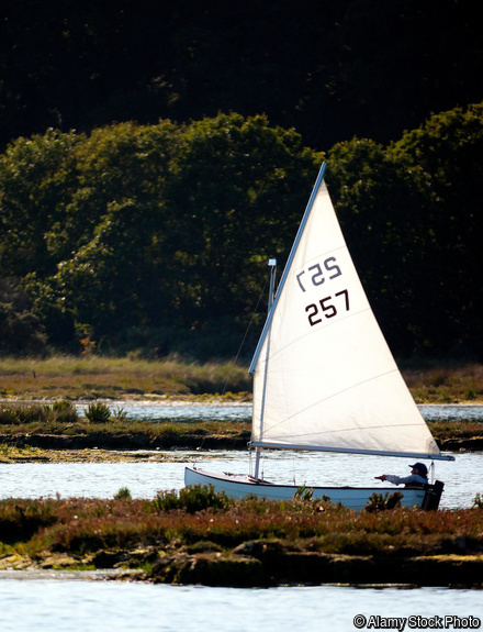 2A096NE sail,sailing,boat,boating,yacht,yachting,sail,estuary,inlet,inlets,man,small,Newtown,Nature,Reserve,Isle of Wight,England,UK,