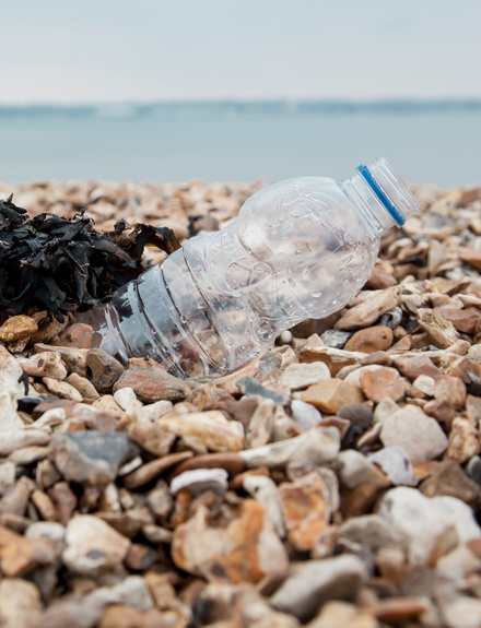 Empty plastic bottles on a stony beach.