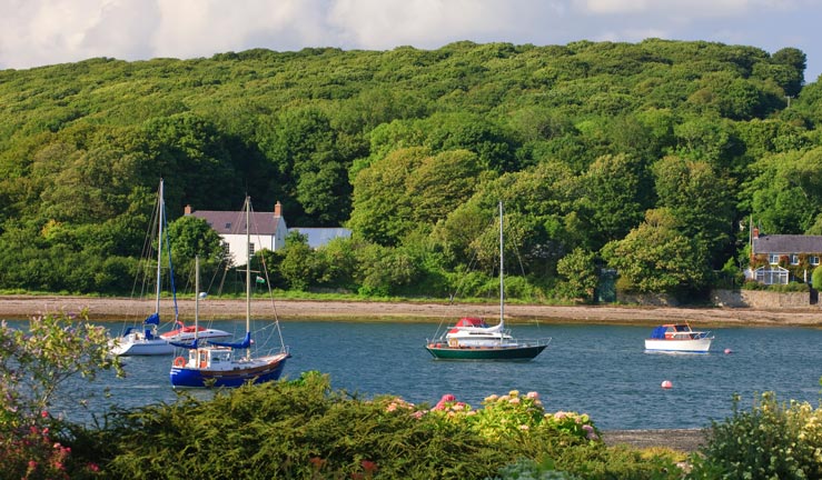 wide shot of boats moored at milford haven