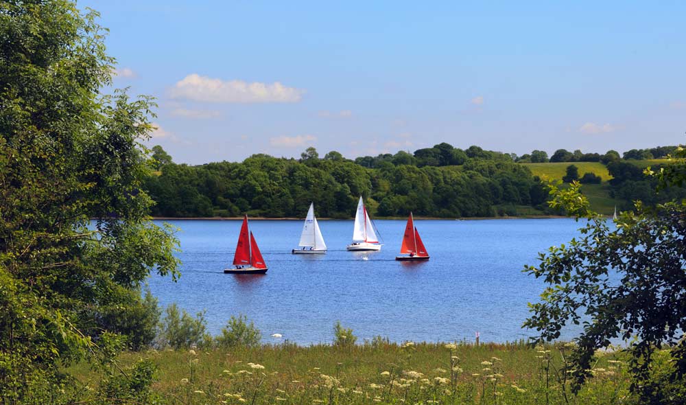 boats sailing on the water
