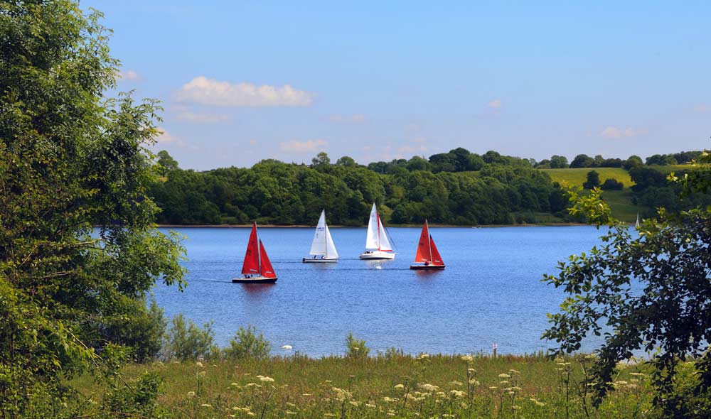 boats sailing on the water