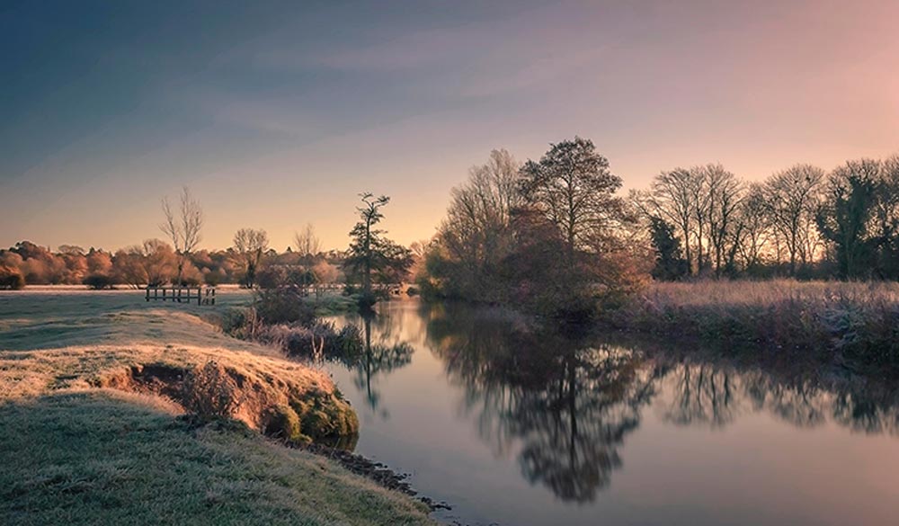 winter landscape