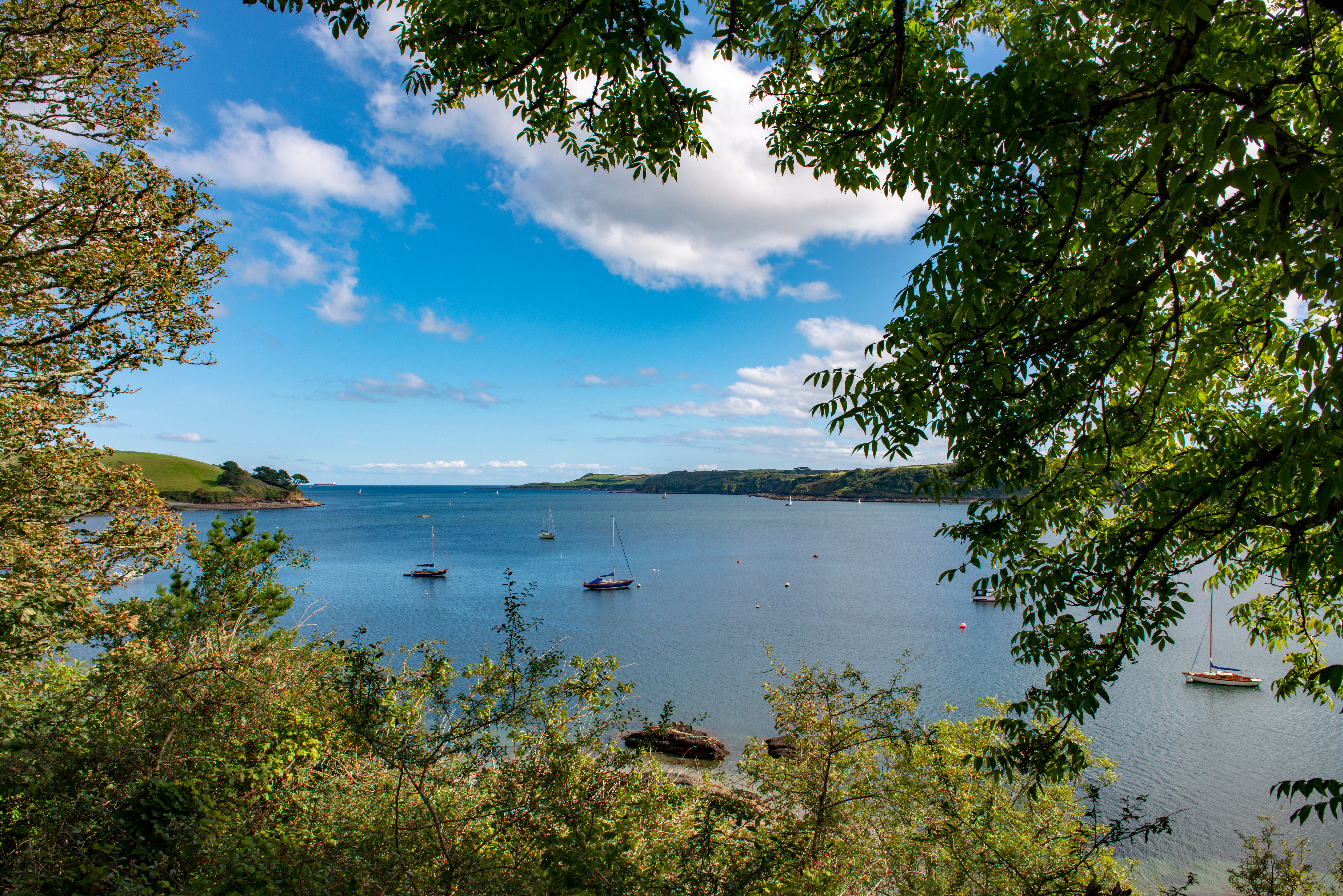 View of the estuary of the Helford River, Cornwall