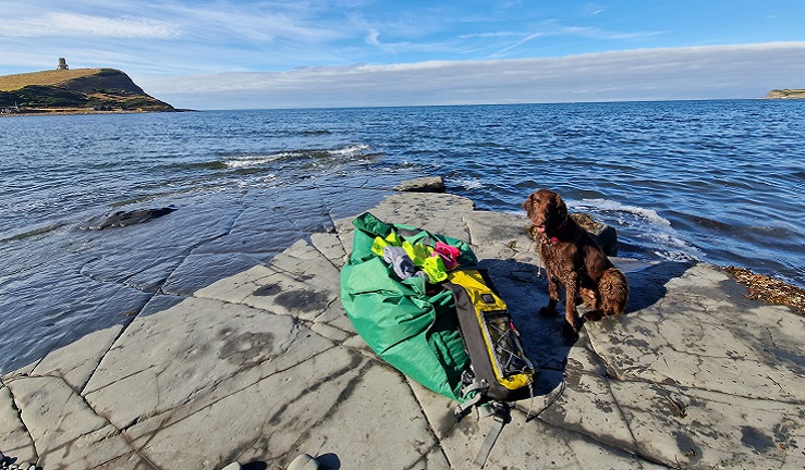A dog sits eagerly waiting at the coast next to boat gear