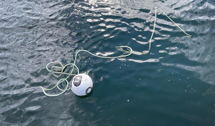 Floating creel line