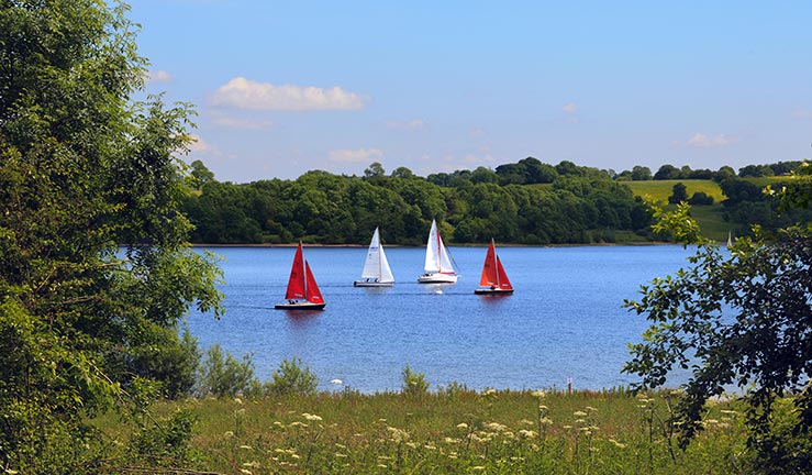 wide shot of sailing dinghies out on the the lake surrounded by trees