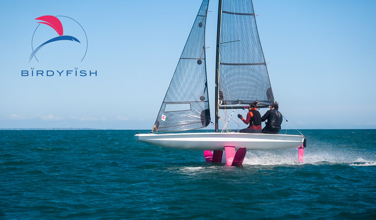 BirdyFish foiling image 