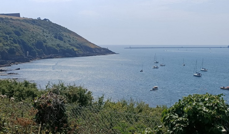 Boats avoiding the VNAZ in Plymouth