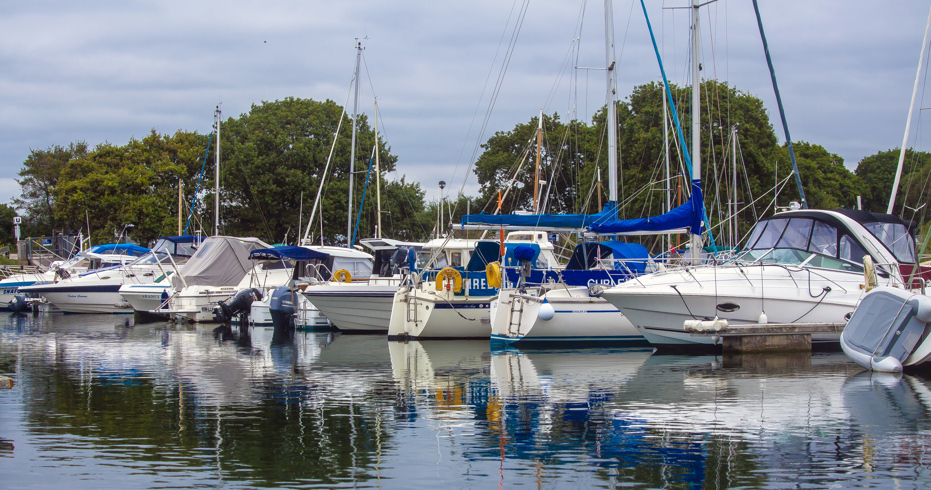 Boats moored next to each other 
