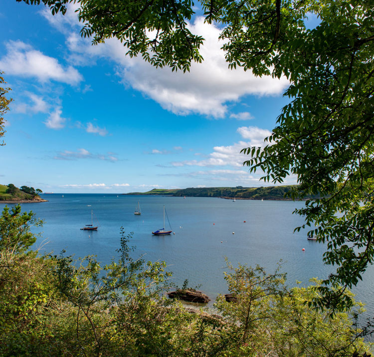 Adobestock 292063293 2000X1333