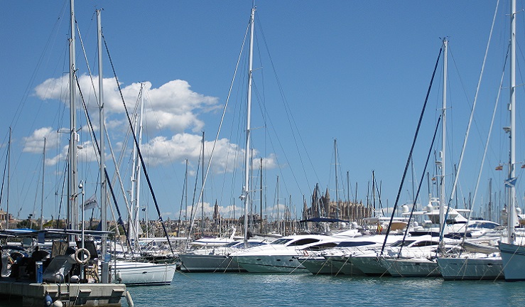 A group of boats are tied up at a marina of a bright sunny day