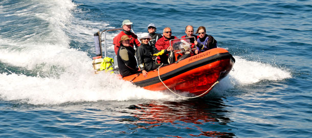 Rib travelling through waves