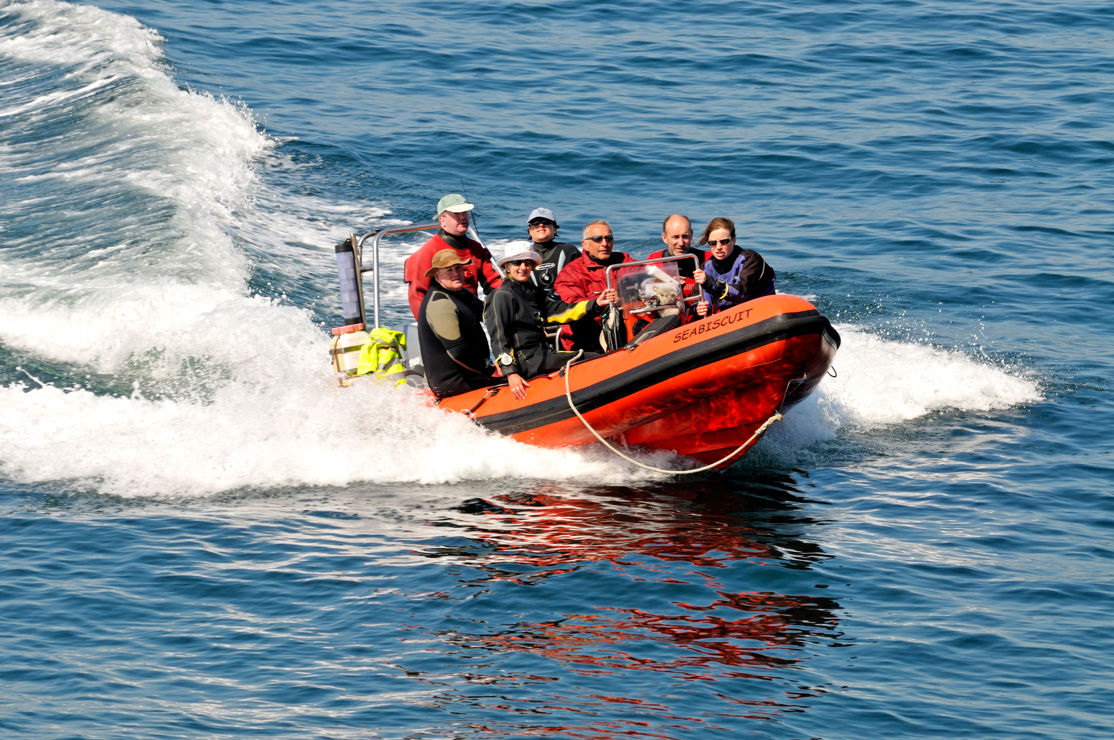 Rib travelling through waves