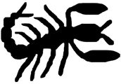National Scorpion Association logo