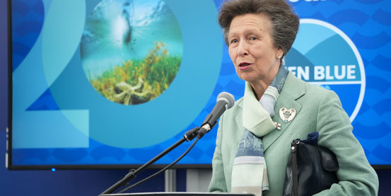 HRH The Princess Royal gives a speech at the RYA Protect our Playground reception