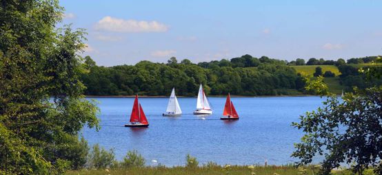 numerous boats sailing on a peaceful lake