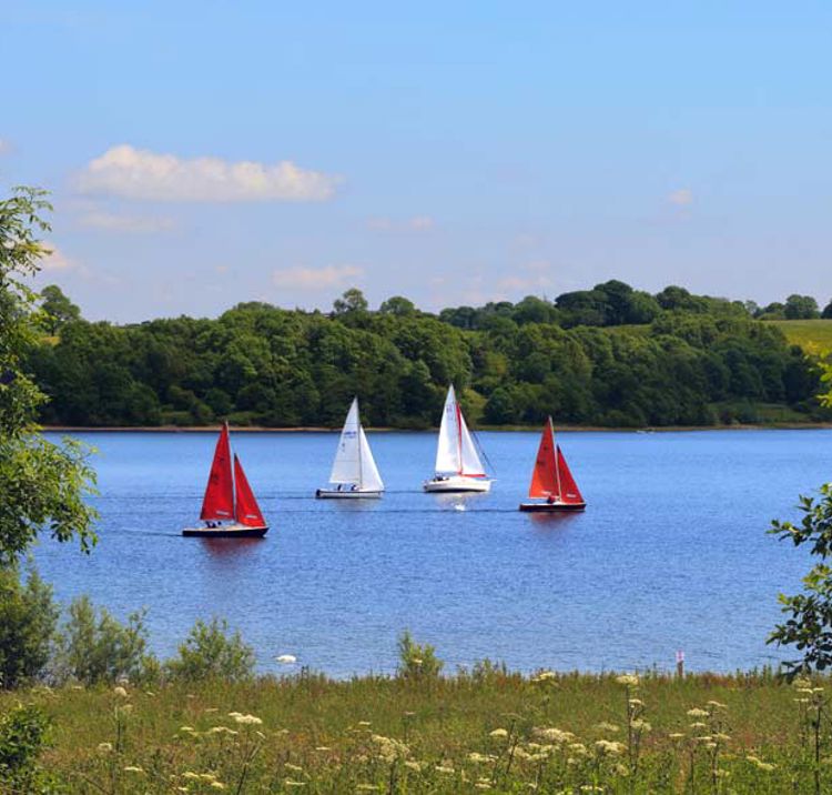 numerous boats sailing on a peaceful lake