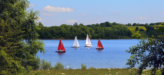 four boats sailing on blue waters through trees