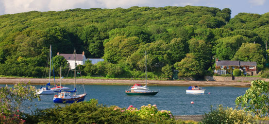 Boat sailing on the Milford Haven trail