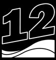 Logo for National 12 Owners Association