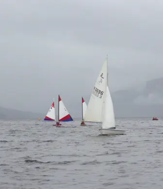 A large of group dinghies sailing on the water against a misty background