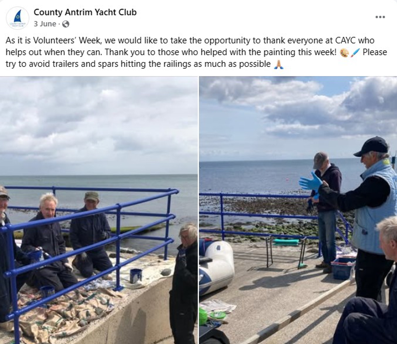 A screen shot from a recent volunteering session