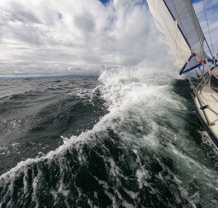 Adobestock 545589307