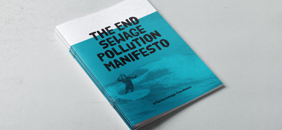 An image of the Front cover of SAS Manifesto document