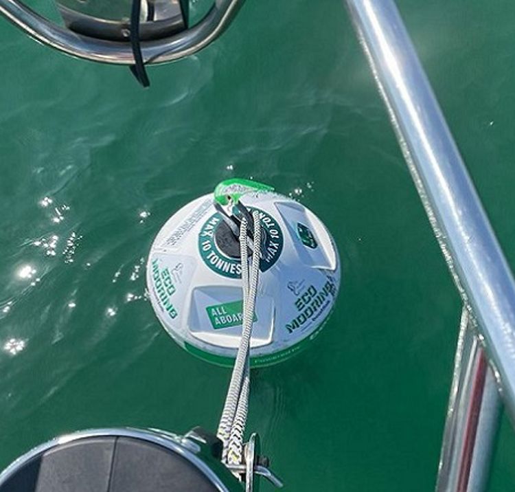 Close up of studland mooring in the water