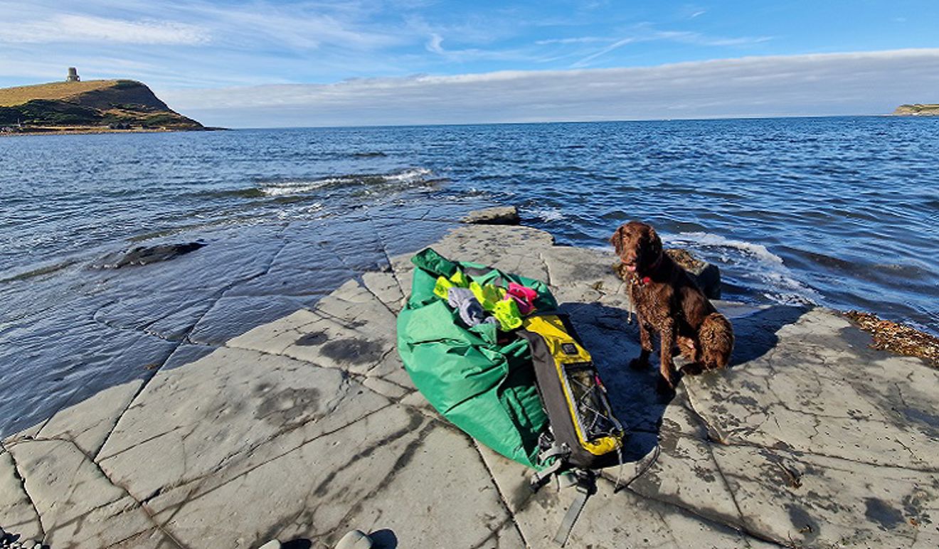 Dog wearing a life jacket next to their kit