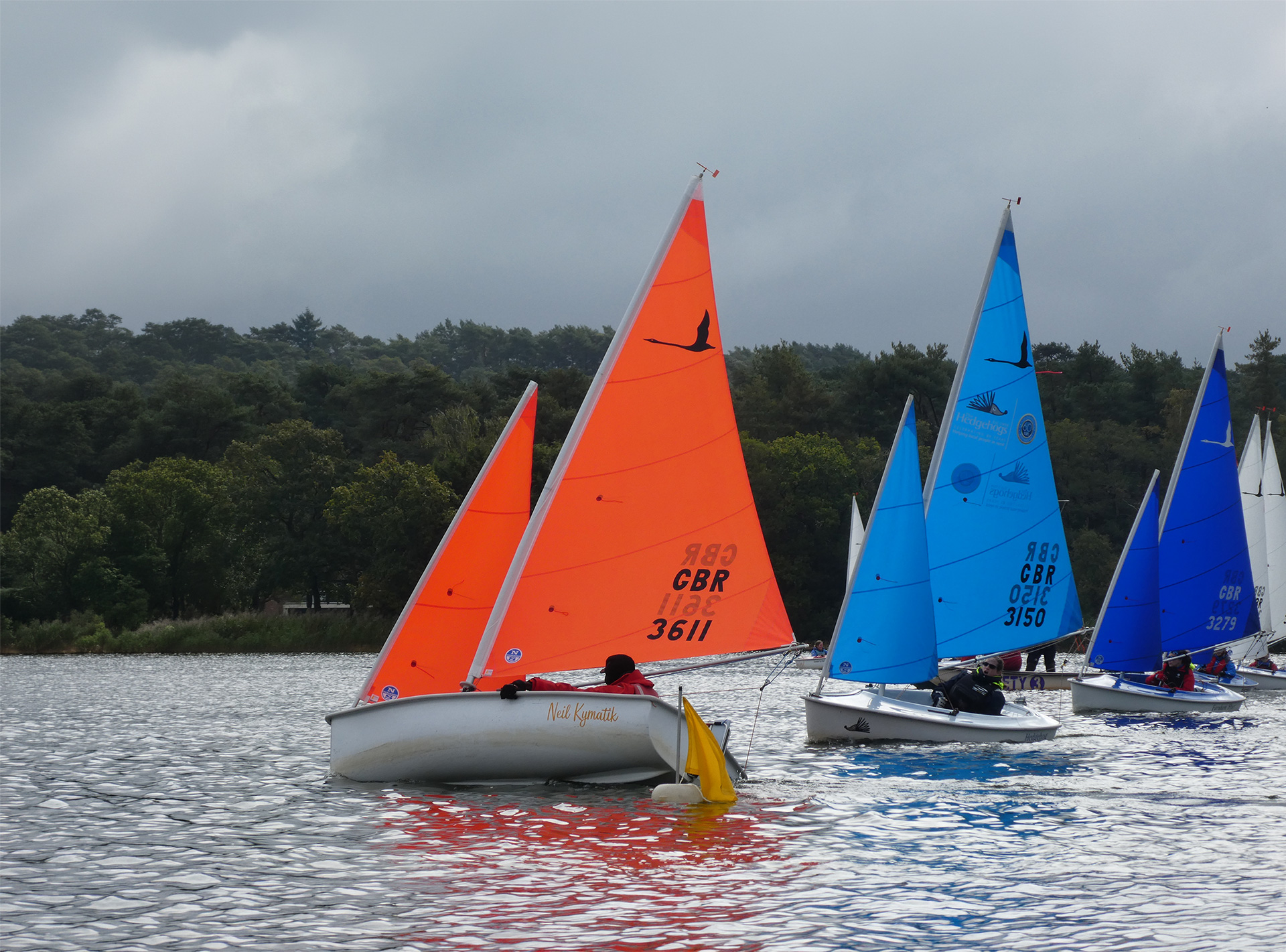 Hansas racing at Frensham Pond Sailing Club