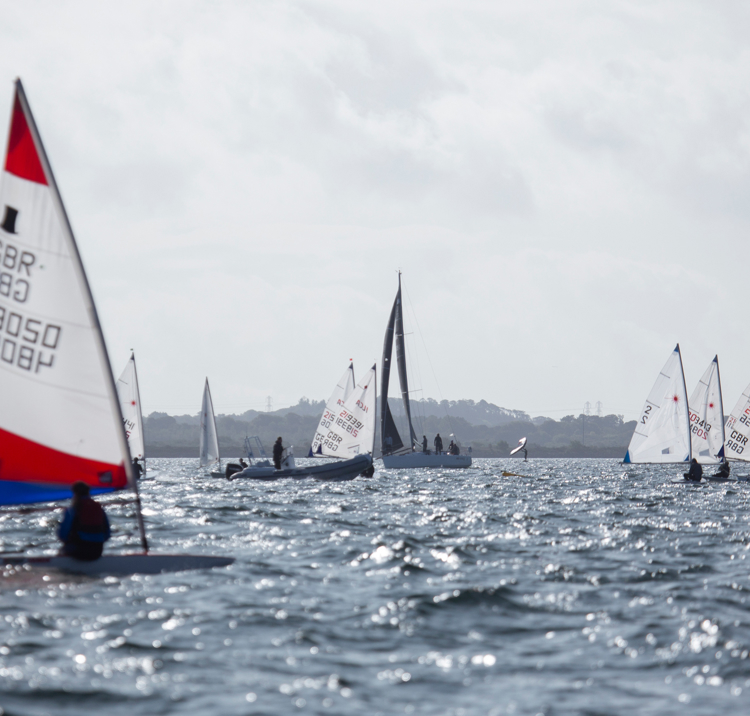 Dinghies sailing across sparkling waters