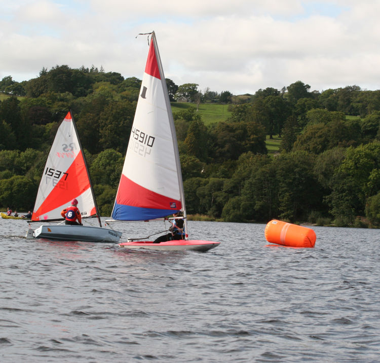 Current Meta Image 2000X1333