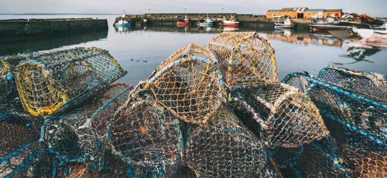 Close up of nets with the water behind