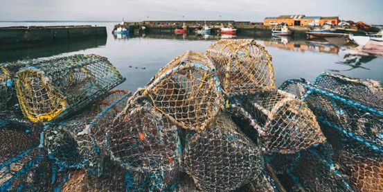 Close up of nets with the water behind