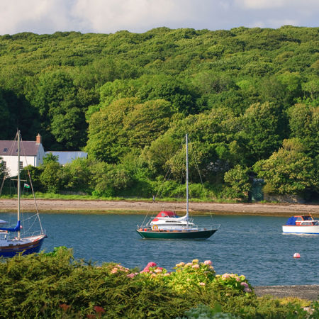 Boats sailing across picturesque lake 