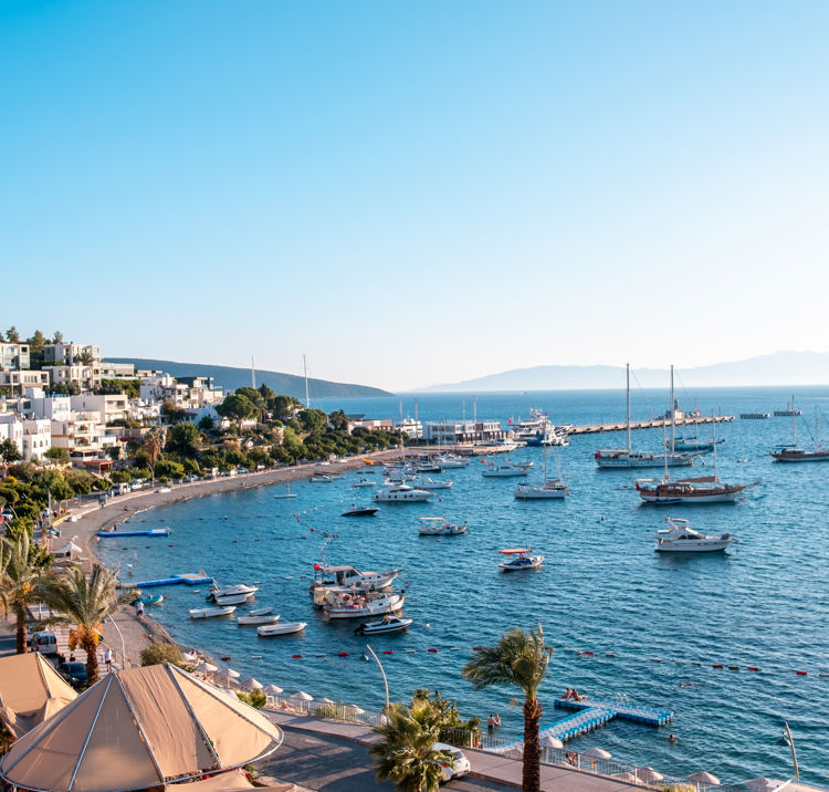 Adobestock 298093124